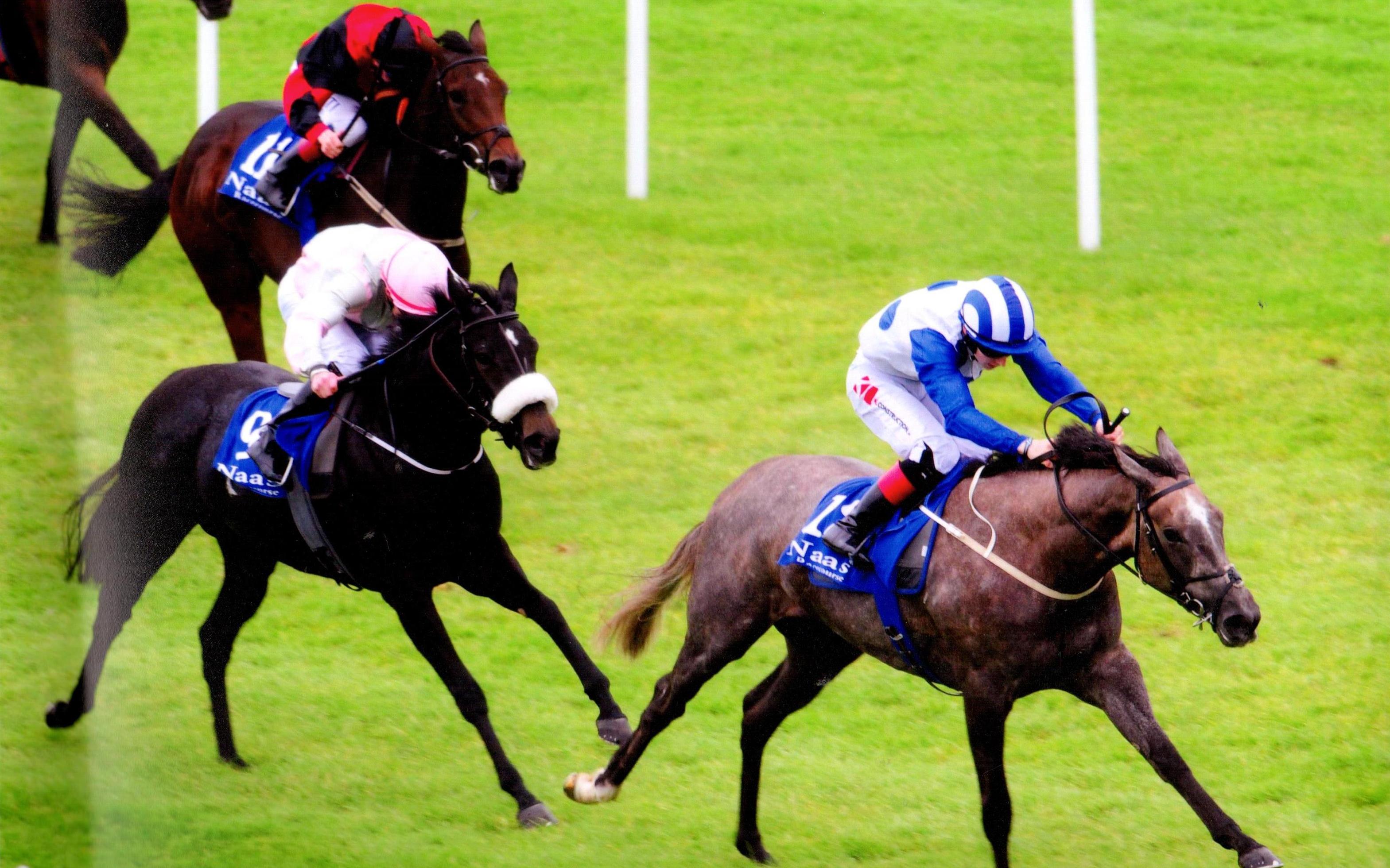 WHO'S STEPH puts Colin Keane five winners ahead in the jockeys title Naas 4th October 2017
